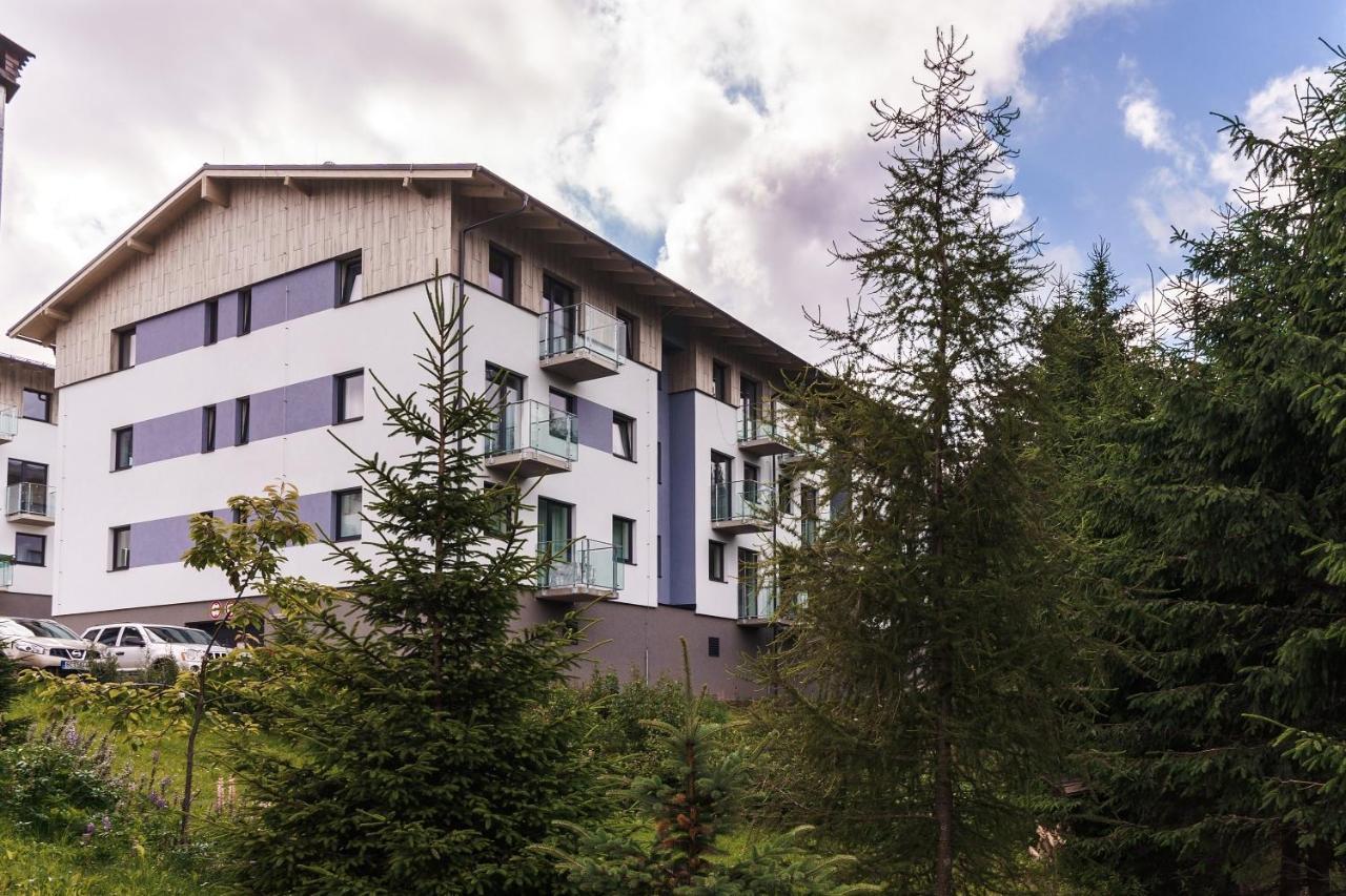 Green Apartment Klinovec By Mountain Ways Loučná pod Klínovcem Esterno foto