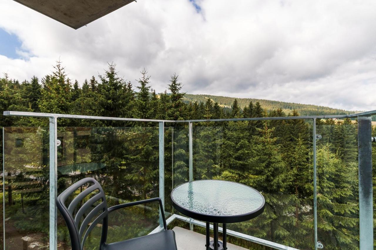 Green Apartment Klinovec By Mountain Ways Loučná pod Klínovcem Esterno foto